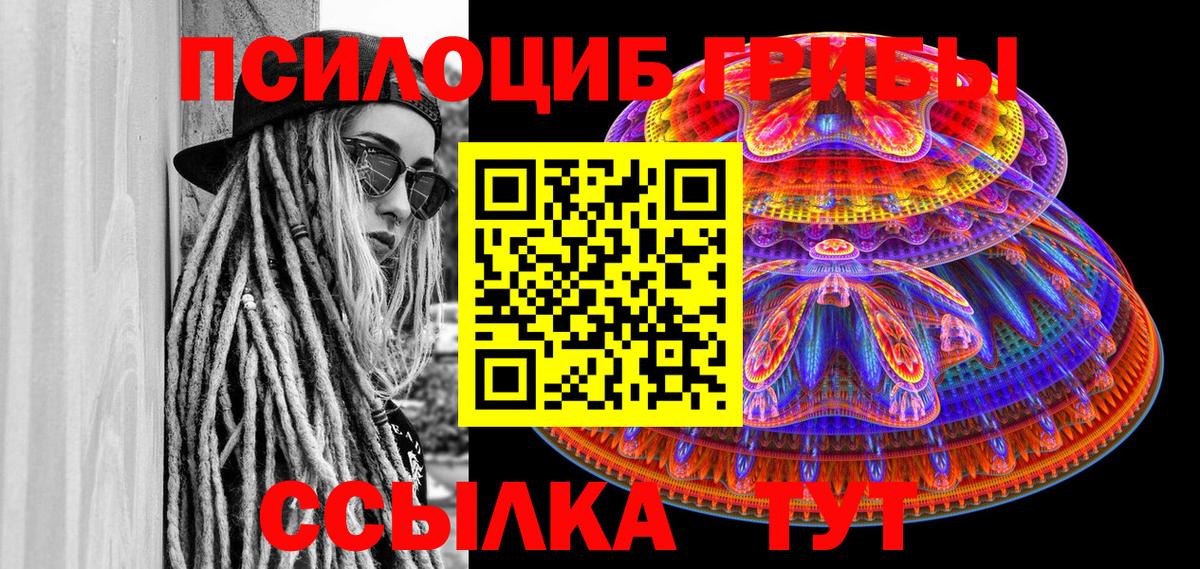 купить наркотик  Псилоцибиновые грибы Psilocybine cubensis  Карпинск  Вход с VPN  Галлюциногенные грибы мицелий 